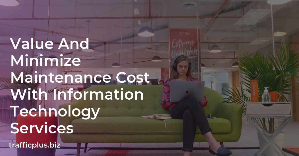Value And Minimize Maintenance Cost With Information Technology Services